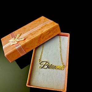 Brianna Dainty 18” Nameplate - Stainless Steel Necklace